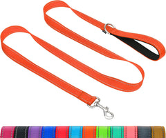 Taglory Dog Leads for Medium Large Dogs   Double Sided Reflective   Soft Neoprene Padded Handle   2.5 cm Wide by 120 cm Long   Orange