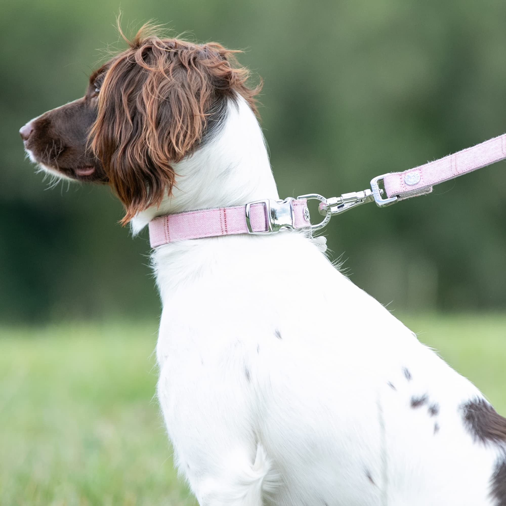 HUGO & HUDSON Tweed Dog Collar, Adjustable Quick Release Safety Metal Buckle, Pink Checked, S