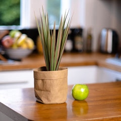 Milam London Indoor Plant Pot Cover/Washable Kraft Paper Plant Bag Container for Planting & Storage/Eco-Friendly Gifts/Biodegradable Plant Pots/Succulent Plant Pot/Flower Pots Indoor / 13cm