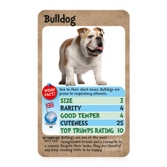 Top Trumps Dogs Classics Card Game, learn facts about the Boxer, Pug, Husky and the Chihuahua in this educational packed game, Gifts and Toys for Boys and Girls Ages 6 plus , 2 plus player game.