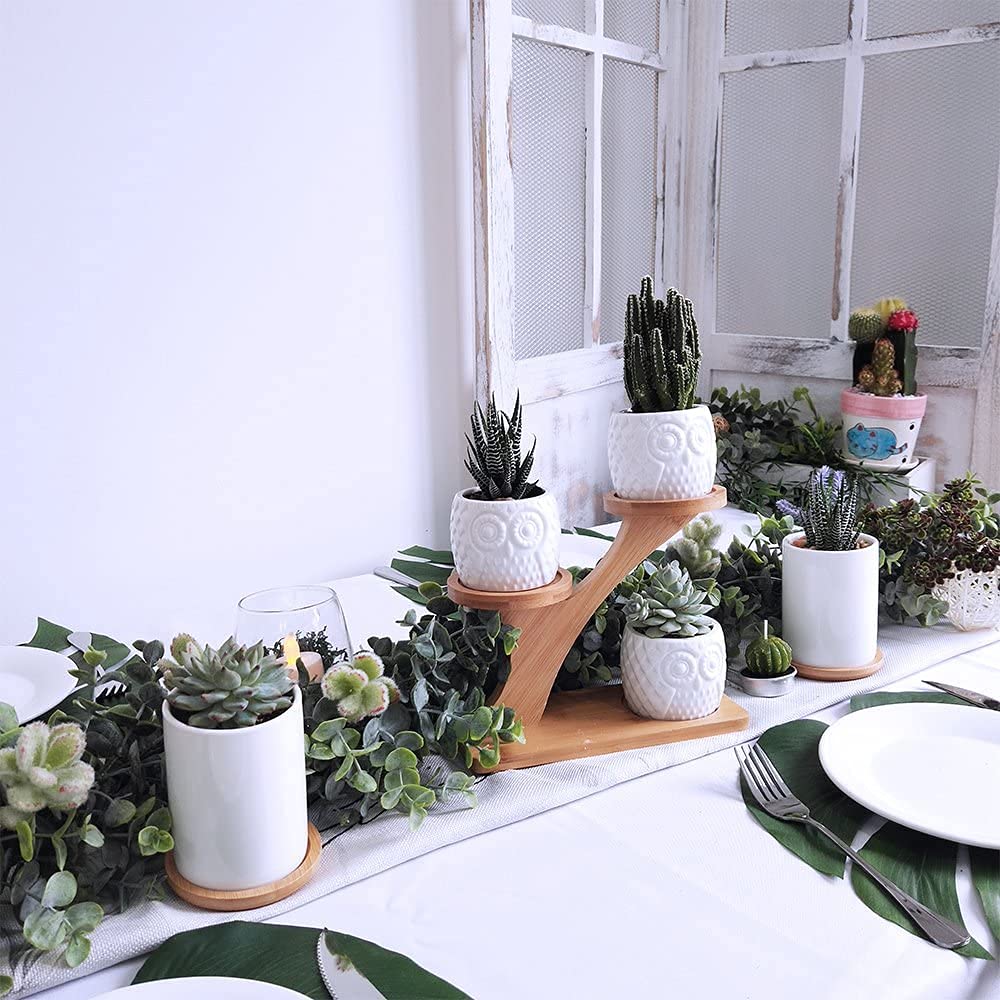 KPUY Owl Succulent Pots 3 Pcs with 3 Tier Bamboo Saucers Stand Holder, White Owl Succulent Plant Pots with Drainage and Bamboo Stand, Great for Office and Home Decor, Ideal for Gift.