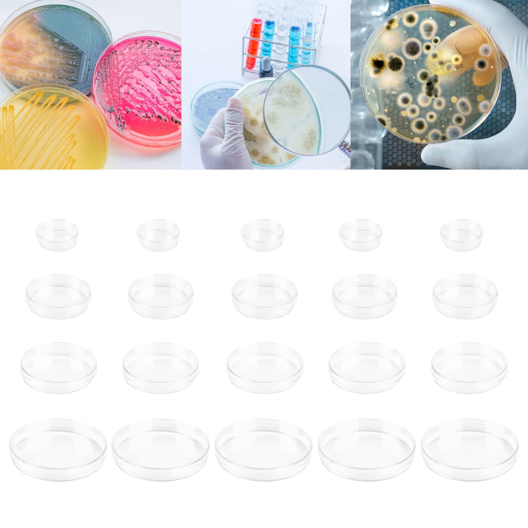 5 Pcs Plastic Petri Dish, Sterile Bacterial Culture Dish, Laboratory Plant Cell Tissue Petri Dish Accessories for Lab Supplies, School Science Equipment (Plastic-70mm-5Pcs)