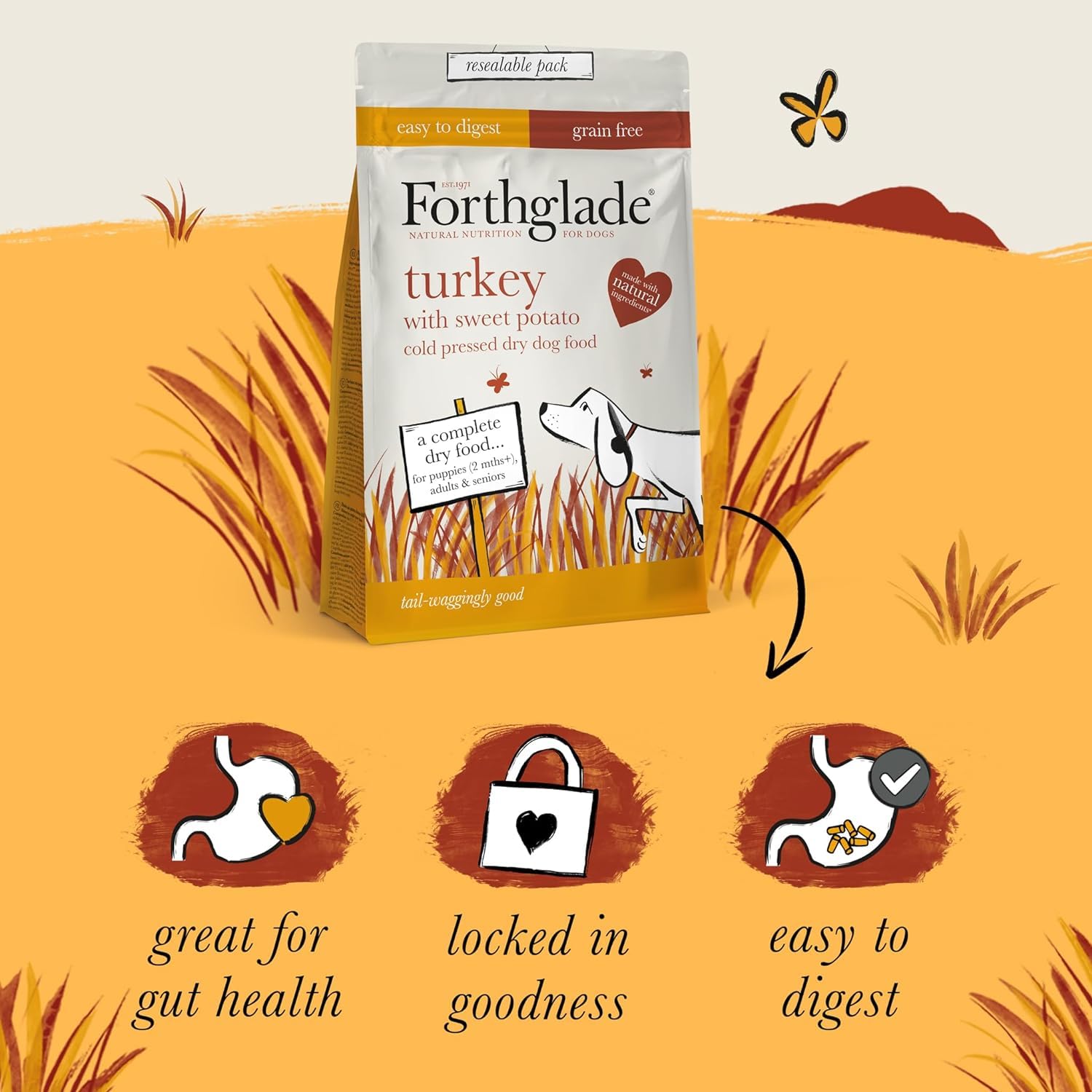 Forthglade Complete Natural Dry Dog Food - Grain Free Turkey with Vegetables (2kg) Resealable Bag - Easy to Digest Cold Pressed Dog Food for Puppy, Adult and Senior Dogs