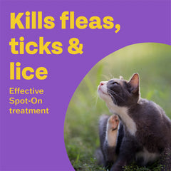 Bob Martin Clear Plus Spot On Flea Treatment for Cats and Kittens - Kills Fleas, Ticks, Lice and Flea Eggs (3 Pipettes)