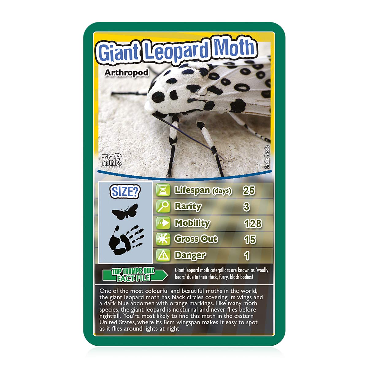 Top Trumps Bugs Classic Card Game, learn facts about the Black Widow, furry Tarantula, Praying Mantis and the Ladybird in this educational packed game, gift and toy for boys and girls aged 6 plus