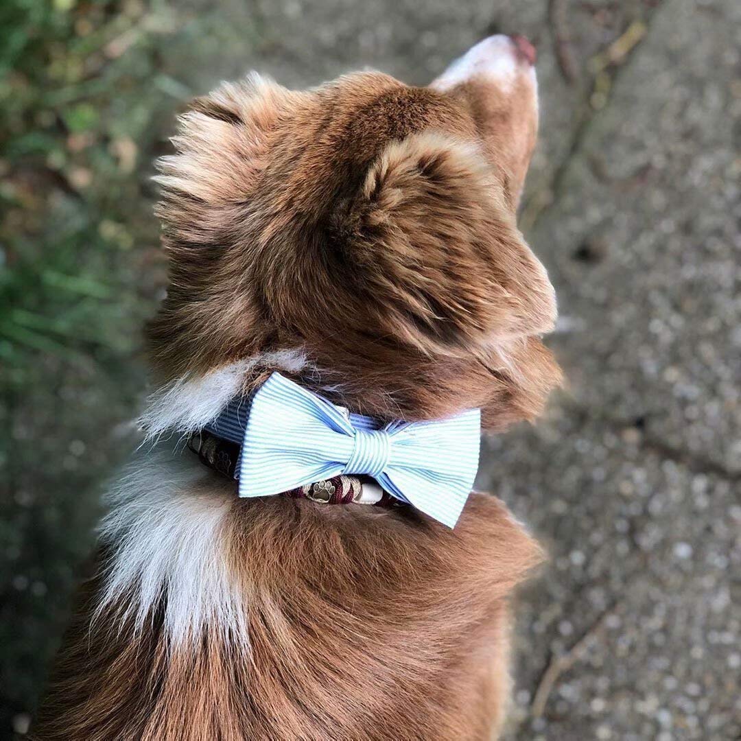 Unique style paws Dog Collar with Detachable Bow tie, Adjustable Dog Collars with Bow for Small Medium Large Dogs or Cats XXS-XL