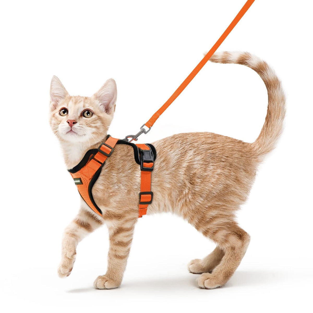 rabbitgoo Cat Harness and Lead Set, Escape Proof Kitten Harness with Cat Leash Metal Ring, Lightweight Soft, Reflective Adjustable Vest Harnesses for Small Cat Walking Travel XS, Orange