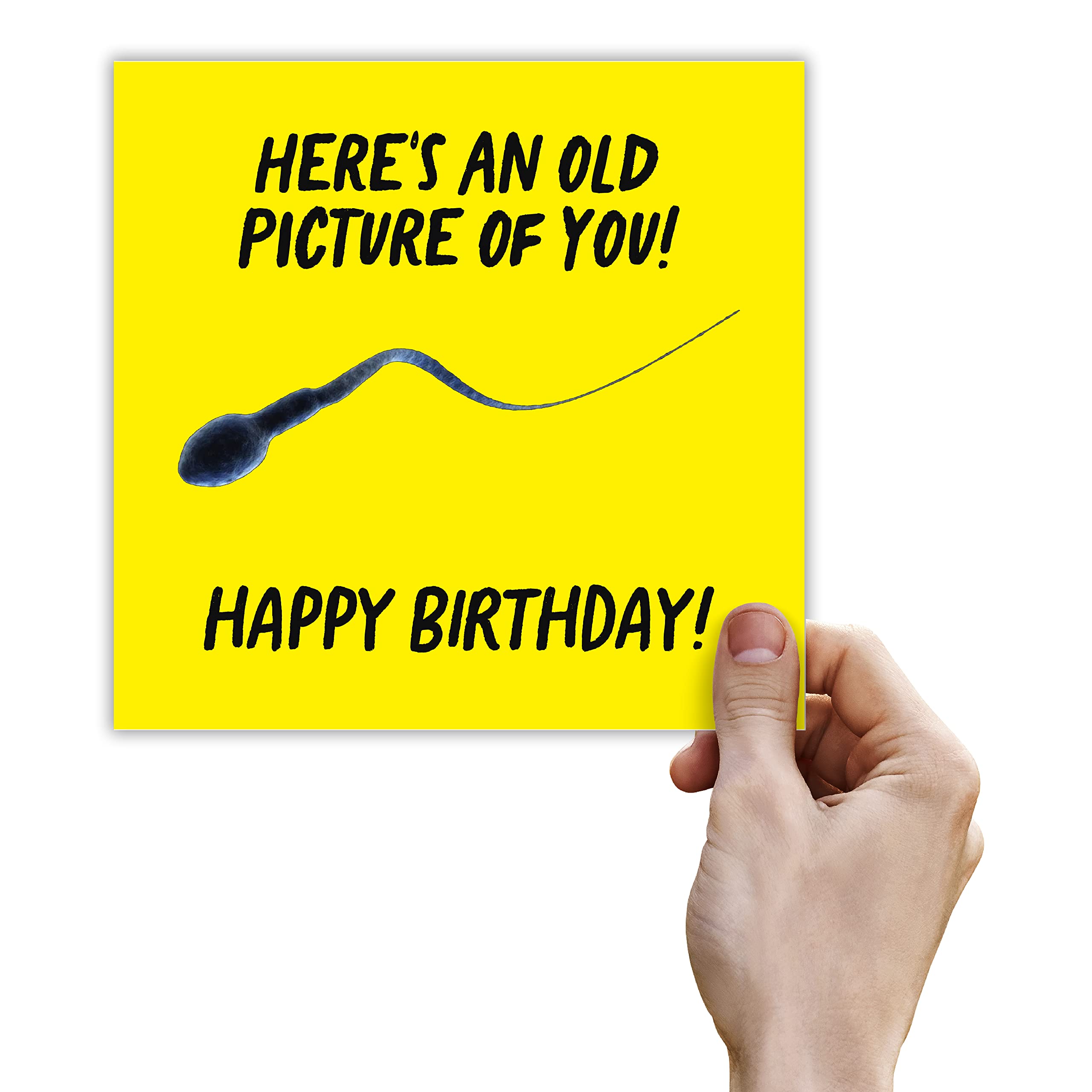 Punkcards - Funny Birthday Card for Men - 'Here's An Old Picture of You! Happy Birthday' - Best Friend Birthday Card - Birthday Card for Men - Funny Birthday Card for Women