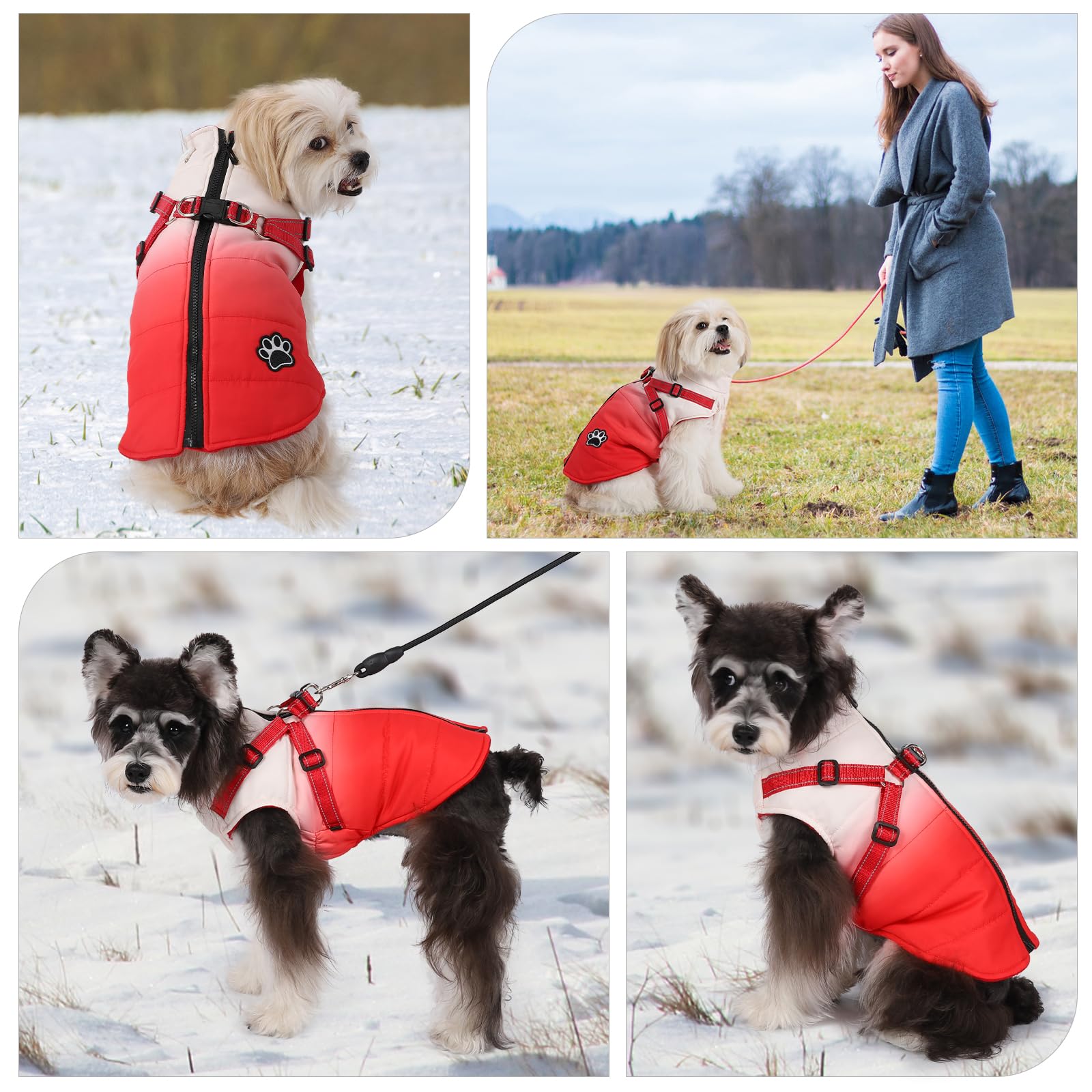 Poseca Dog Winter Coat Zipper Dog Coats Warm Winter Jackets for Dogs Waterproof Reflective Small Dog Harness Vest Winter Dogs Apparel (Small, Red)