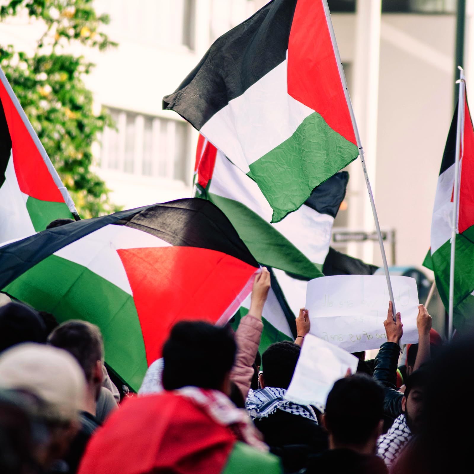 Palestine Flag 3x5 Outdoor - Black, White, Green and Red with Triangle Design Flags Hanging Country National Palestinian Flag with Brass Grommets for Independence Celebration Indoor Home Decorations