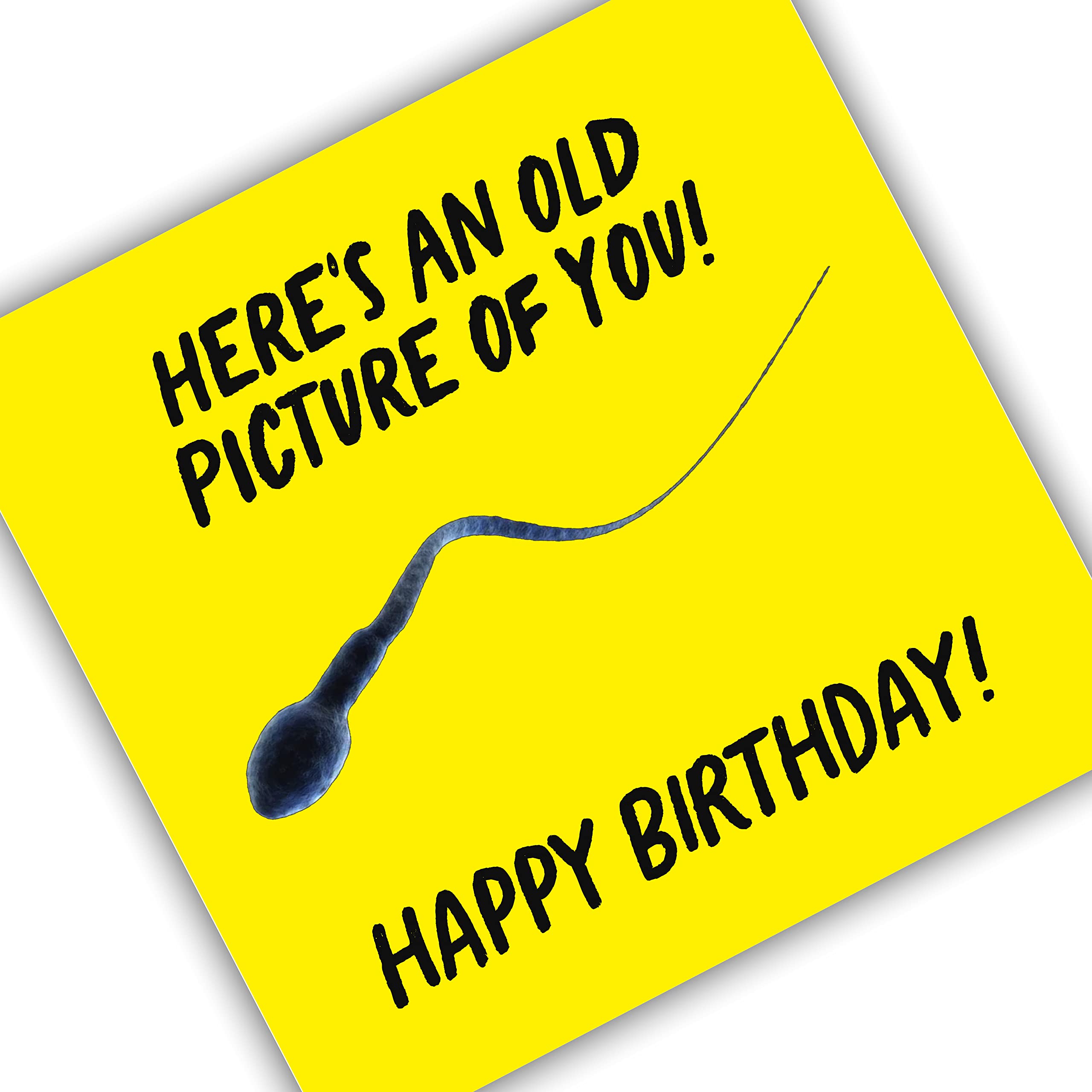 Punkcards - Funny Birthday Card for Men - 'Here's An Old Picture of You! Happy Birthday' - Best Friend Birthday Card - Birthday Card for Men - Funny Birthday Card for Women