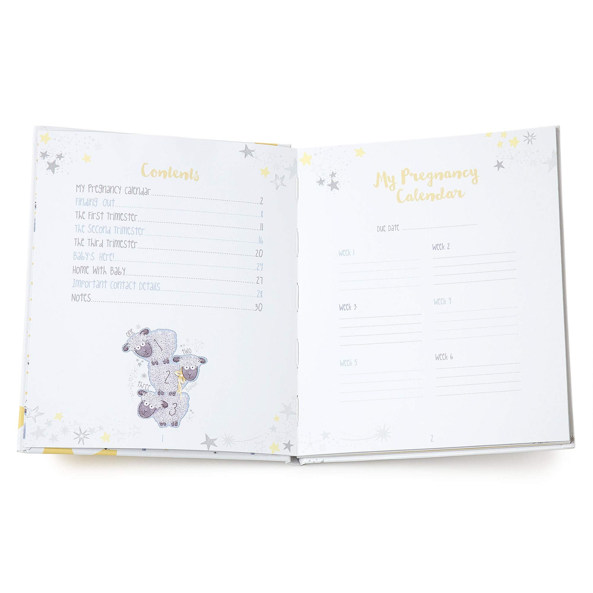 Me to You Tiny Tatty Teddy Pregnancy Journal, Hardback Baby Book with Pregnancy Calendar - Official Collection