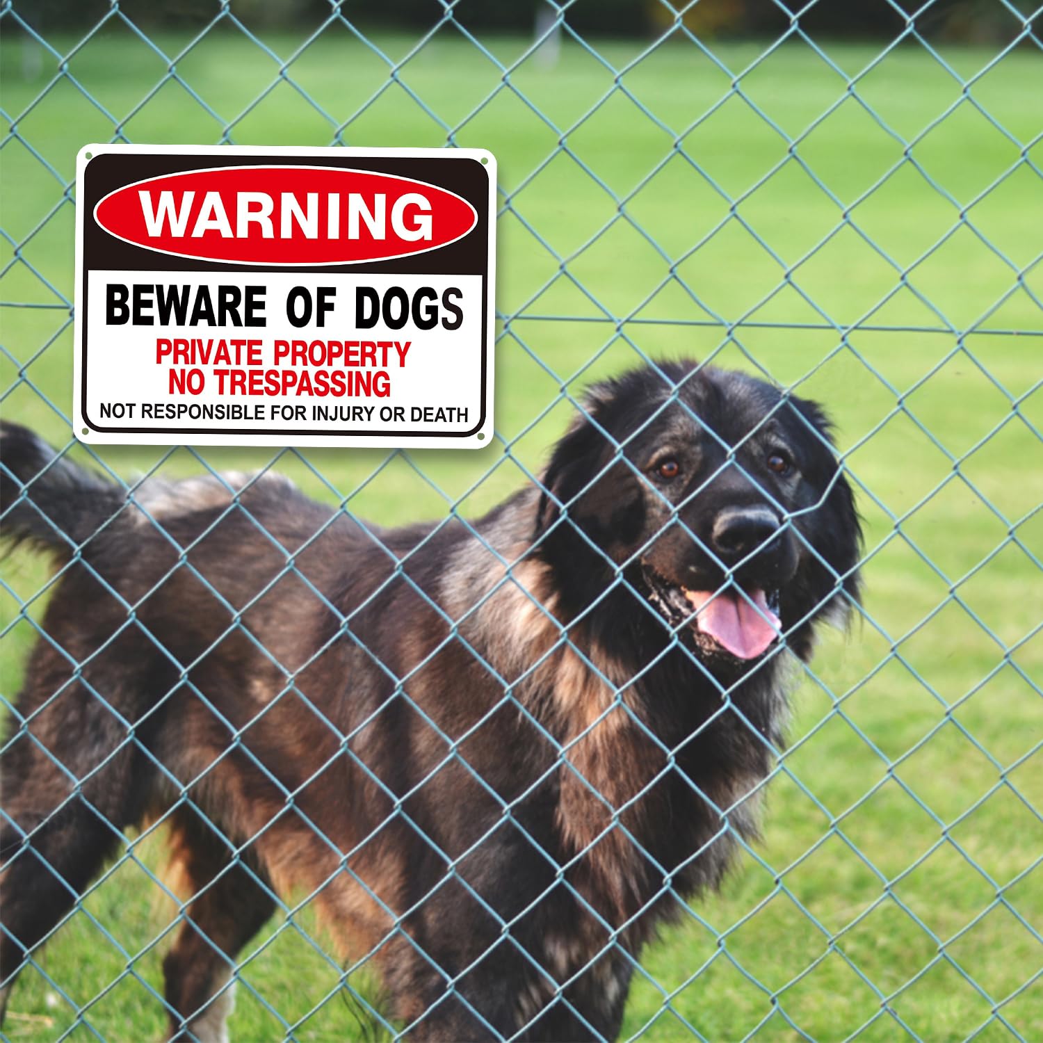 Beware of The Dog Sign-Private Property No Trespassing Signs,Beware of The Dogs Sign Outdoor Gate Weather Easy to Mount 12x8inch(2 Pack)