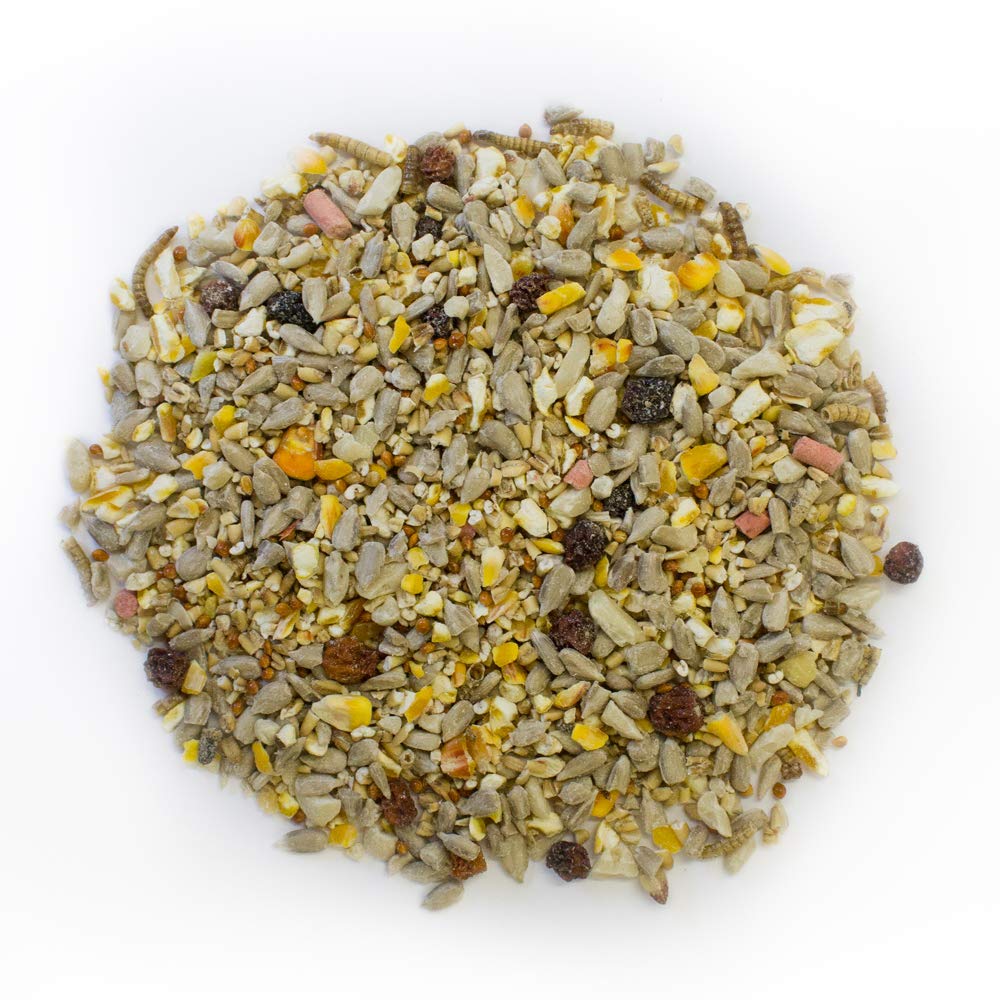 Extra Select Robin and Song Bird Feed Mix, 1 kg