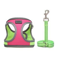 DORAMIO Step-in Dog Harness and Leash Set, No-Chock Soft Mesh Reflective Breathable Easy Walk Lightweight Vest Harnesses with Safety Buckle for Small Medium Dogs, Cats, Puppies (XS, Hot Pink)