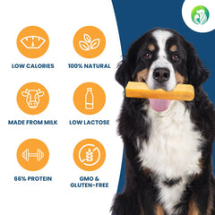 Dilecti Natural Dog Chews - Very Tasty, Hard and Long Lasting Yak Chews for Dogs will Keep Your Dog Busy for a While - L size (pack of 3)