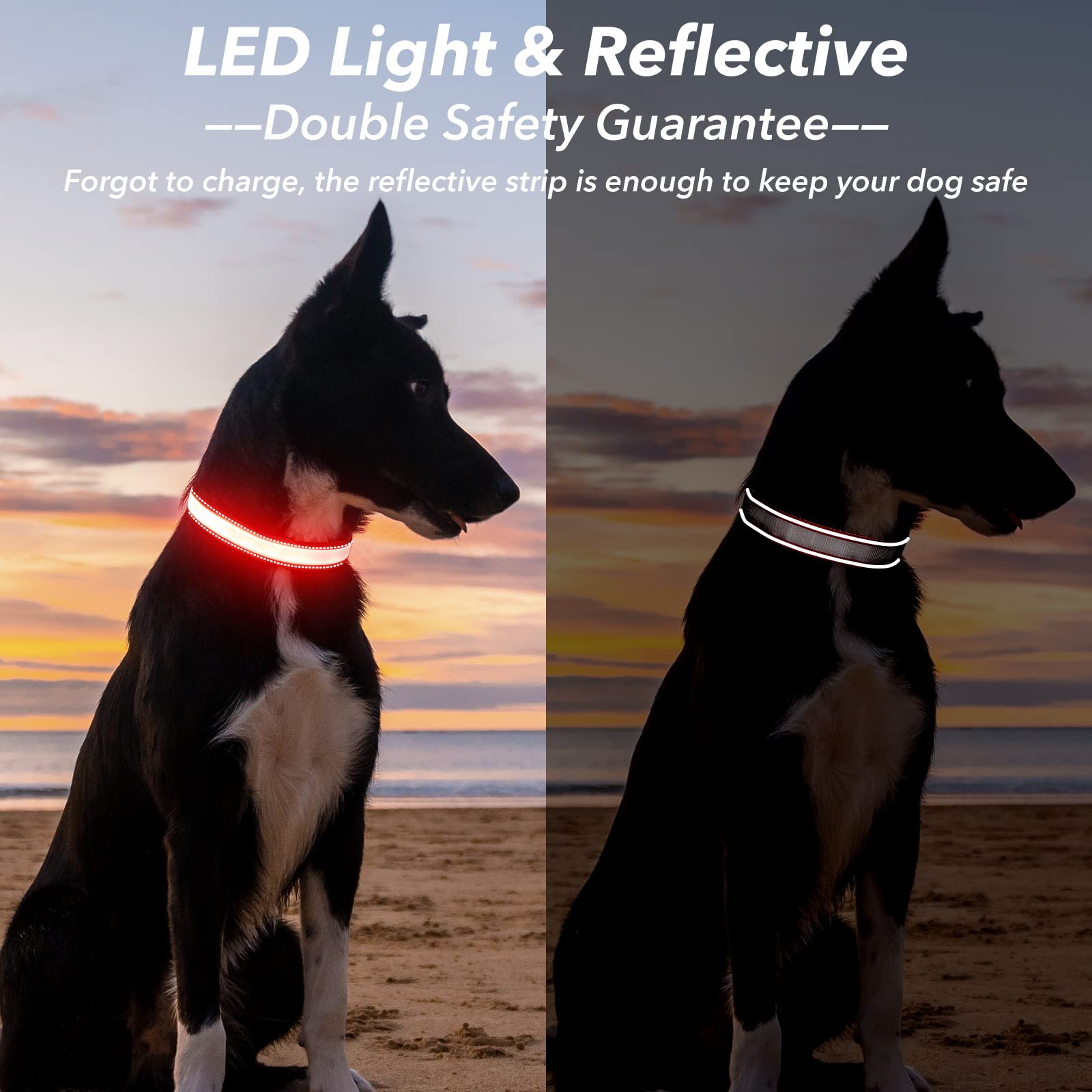 Visinite Light Up Dog Collar Rechargeable,Waterproof Led Dog Collar, Reflective Dog Collar Lights For The Dark, 3 Flashing Modes Glow Dog Collar for Night Walking for Medium Large Dogs