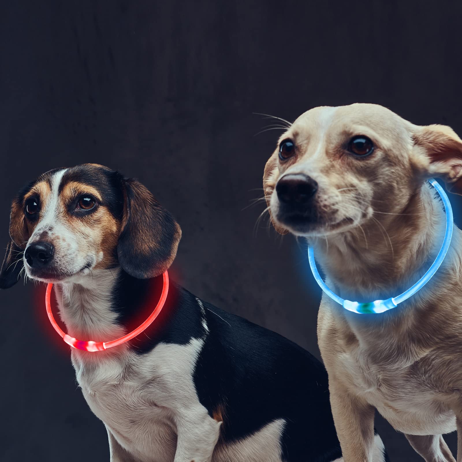 Mardiko Light up Dog Collar Rechargeable Adjustable Length for Small Medium Large Dogs Cats, Flashing LED Puppy Collars Illuminated Dog Collars with 3 Light Modes Waterproof, Red