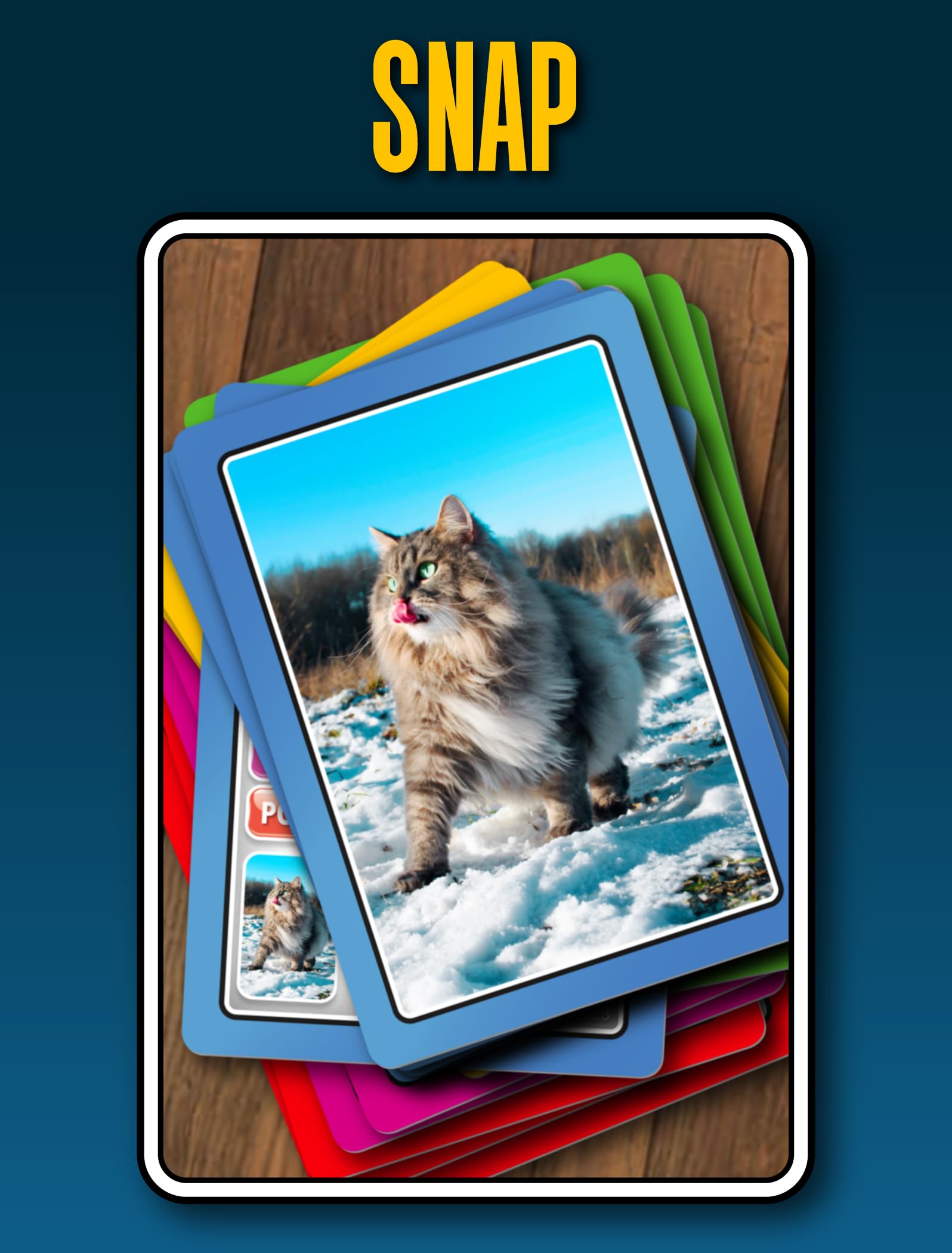 100 PICS SMART CARDS Cats 7 games in 1, Pairs, Snap, Trumps, Rummy, Memory Quiz, Learn Facts, Travel Game, Gift, Stocking Filler, Age 5and, 1-8 Players