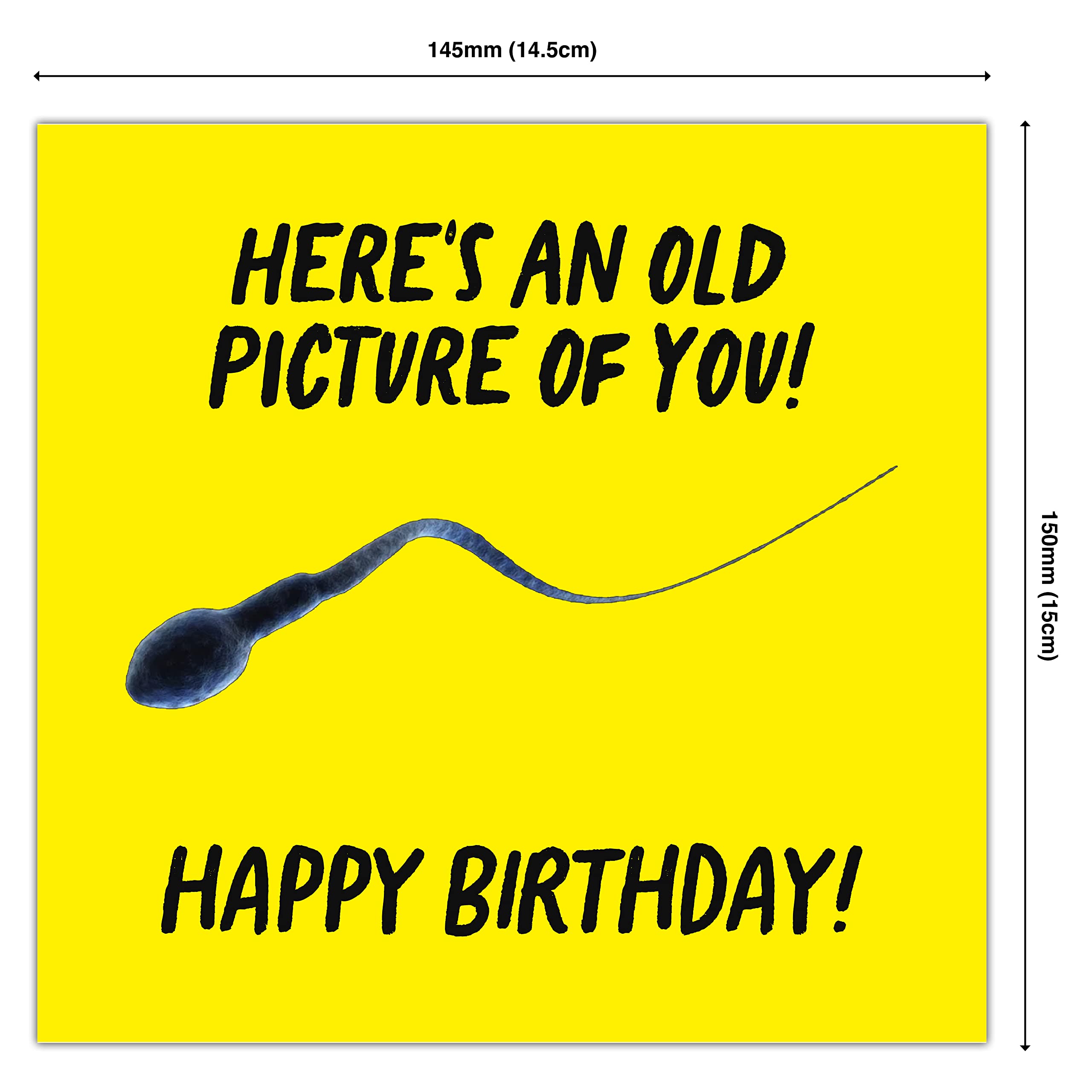 Punkcards - Funny Birthday Card for Men - 'Here's An Old Picture of You! Happy Birthday' - Best Friend Birthday Card - Birthday Card for Men - Funny Birthday Card for Women