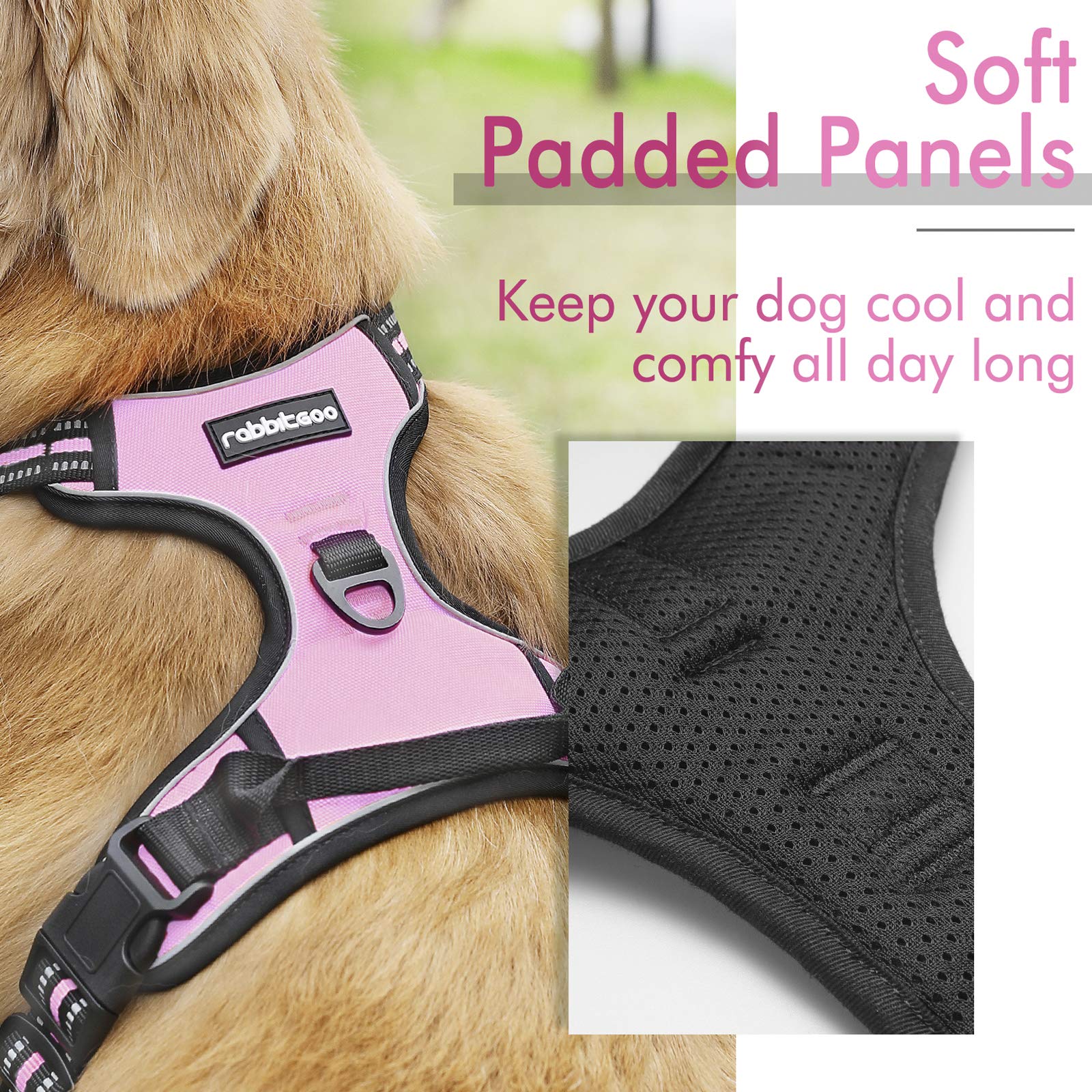 rabbitgoo Dog Harness Small Dog No Pull Pet Harness with 2 Leash Clips, Adjustable Soft Padded Pet Vest Harness, Reflective No-Choke with Easy Control Handle for Training or Walking, Pink, XS