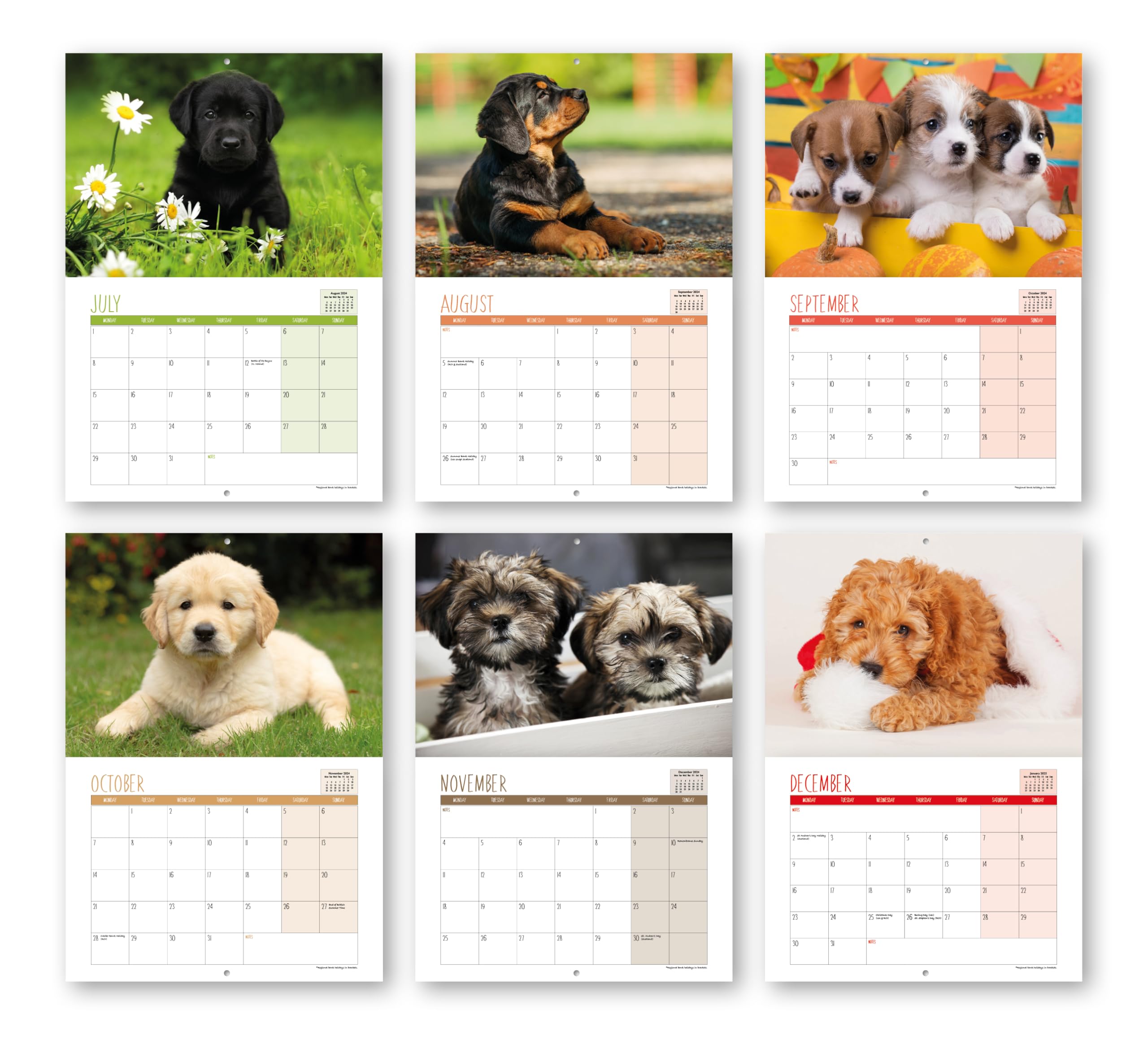 A4 Puppies Calendar 2024. One Month to View. UK, Scotland, RoI & N Ireland Bank Holidays. Wall Calendar by Absolutely Yours.