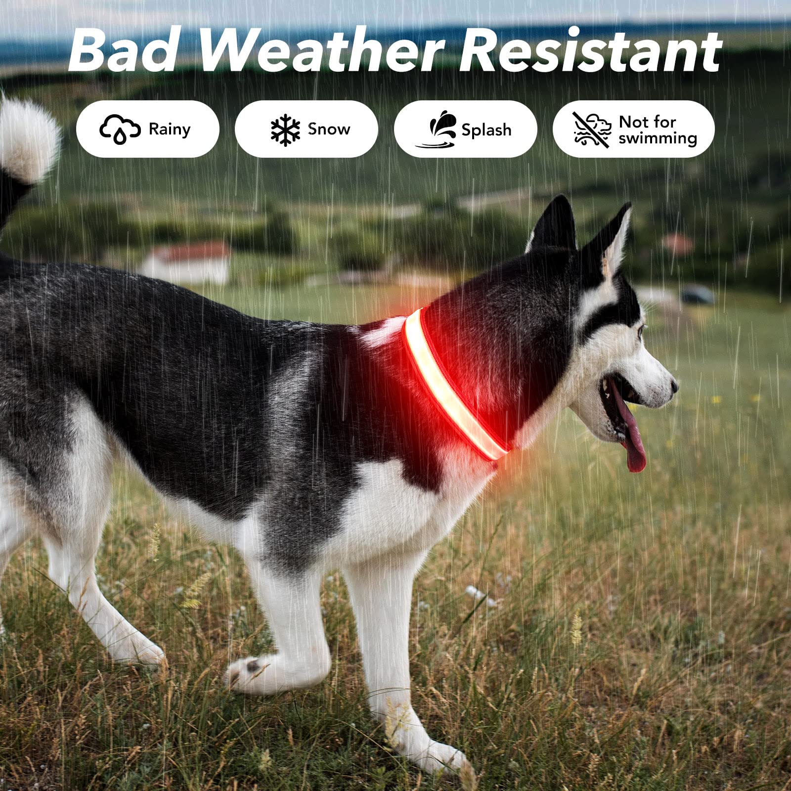 Visinite Light Up Dog Collar Rechargeable,Waterproof Led Dog Collar, Reflective Dog Collar Lights For The Dark, 3 Flashing Modes Glow Dog Collar for Night Walking for Medium Large Dogs