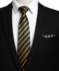 HISDERN Men's Tie and Pocket Square Set Striped Navy Blue & Yellow Ties Formal Classic Elegant Necktie & Handkerchief for Business Wedding Party