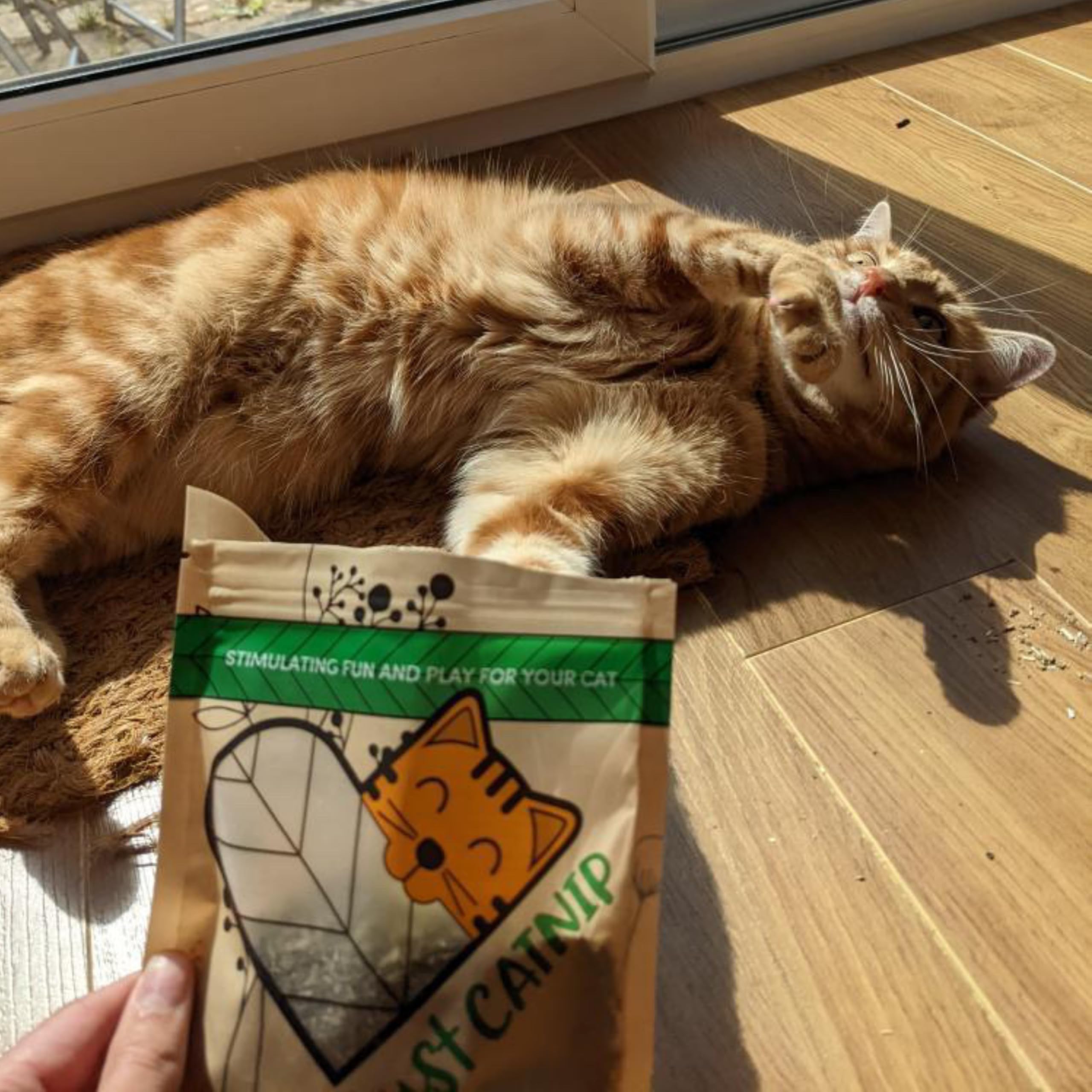 Just Catnip - Organic Catnip for Cats   Fine Blend Cat Nip   Grown in South Africa   Extra Strong   Cat Toy   Cat Treat   Natural, Ethical and Sustainably Farmed (Catnip (30g))