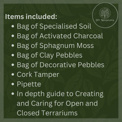 DIY Large Open and Closed Terrarium Kit (Champagne Pebbles)