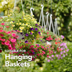 Jamieson Brothers® Beautiful Hanging Baskets Mixture contains Petunia, Lobelia, Swan River Daisy, Alyssum, Phlox and Verbena flower seeds (Approx. 400 seeds)