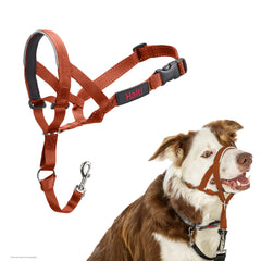 HALTI Headcollar - To Stop Your Dog Pulling on the Lead. Adjustable, Reflective and Lightweight, with Padded Nose Band. Dog Training Anti-Pull Collar for Medium Dogs (Size 2, Burnt Orange)