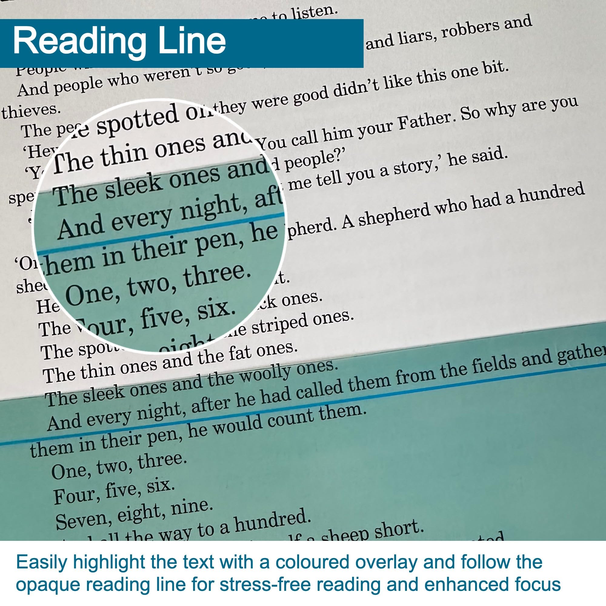 Temple Lodge 8 Dyslexia, Coloured Reading Overlays and Protective Case - Enhance Reading Comfort and Speed with Tinted Guided Strips - Ideal for Dyslexia, ADHD, Irlen Syndrome, and Visual Stress