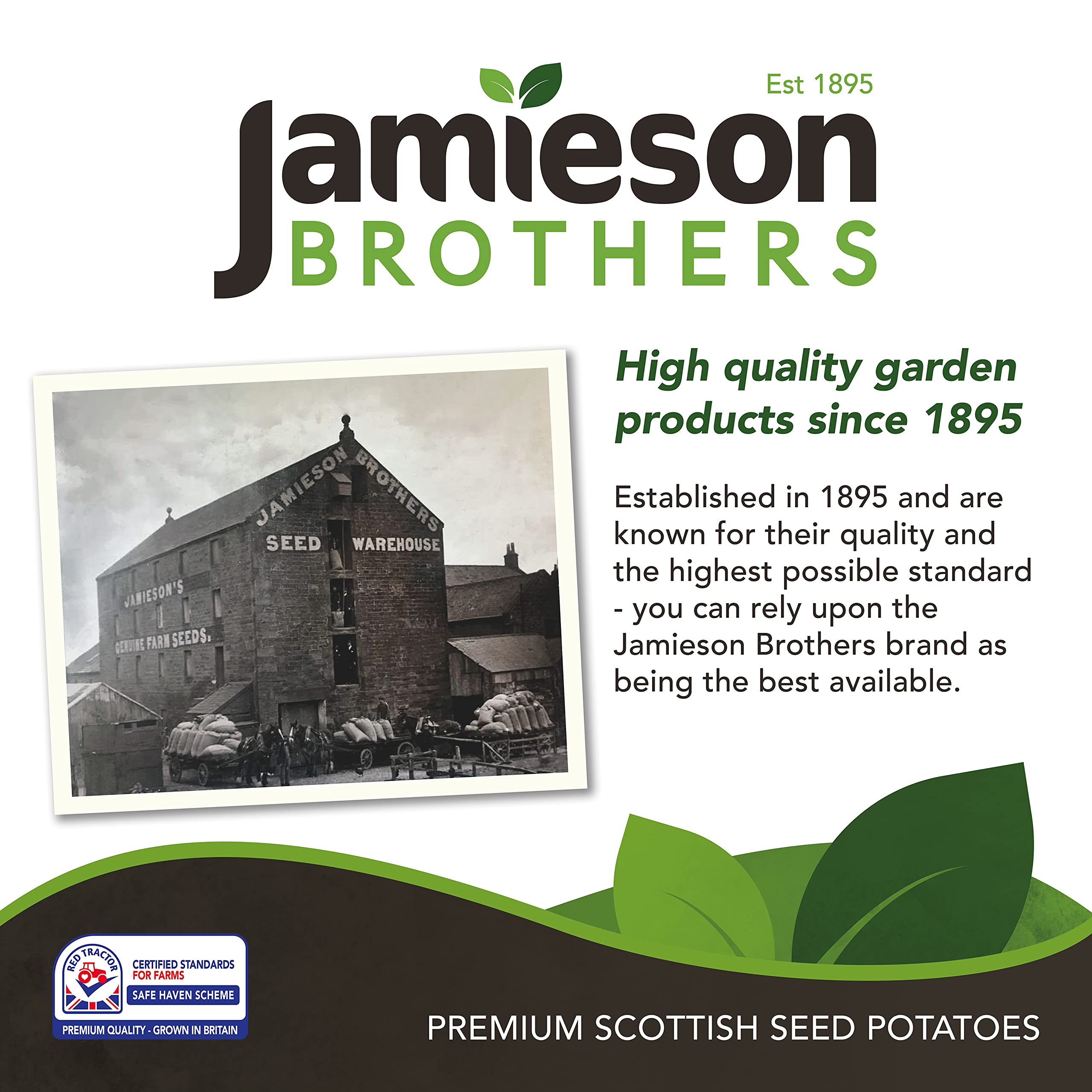 Jamieson Brothers® Beautiful Hanging Baskets Mixture contains Petunia, Lobelia, Swan River Daisy, Alyssum, Phlox and Verbena flower seeds (Approx. 400 seeds)