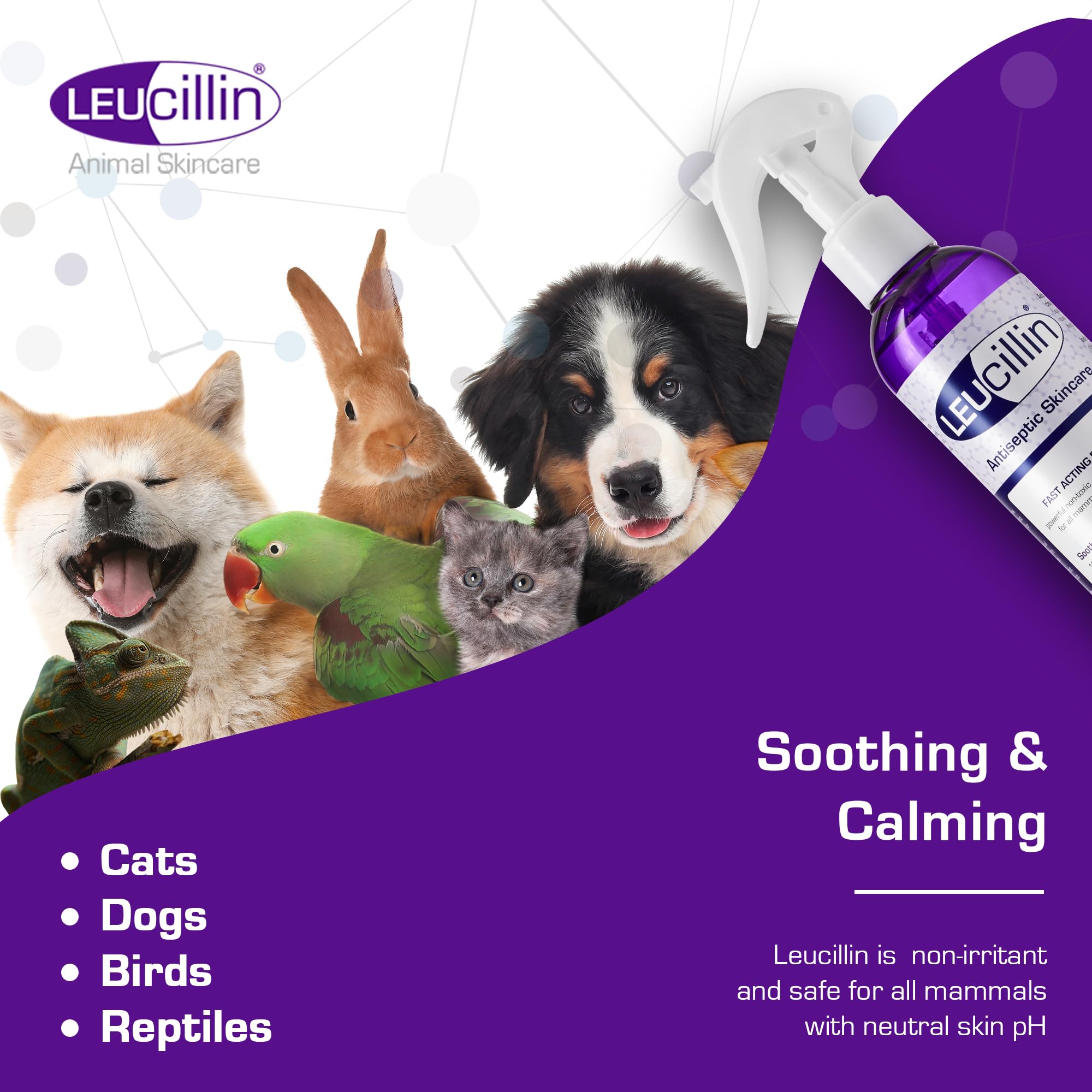 Leucillin Natural Antiseptic Spray - Antibacterial Antifungal Antiviral for Dogs Cats All Animals Itchy Skin Minor Wound Care and Skin Health   150ml