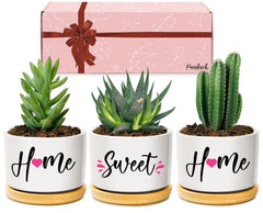 House Warming Gifts for New Home, Best New Home Gifts for Couple Friends Women, Home Sweet Home Succulent Pots Cute House Warming Presents New Home Owner Gift Ideas for Christmas, Anniversary