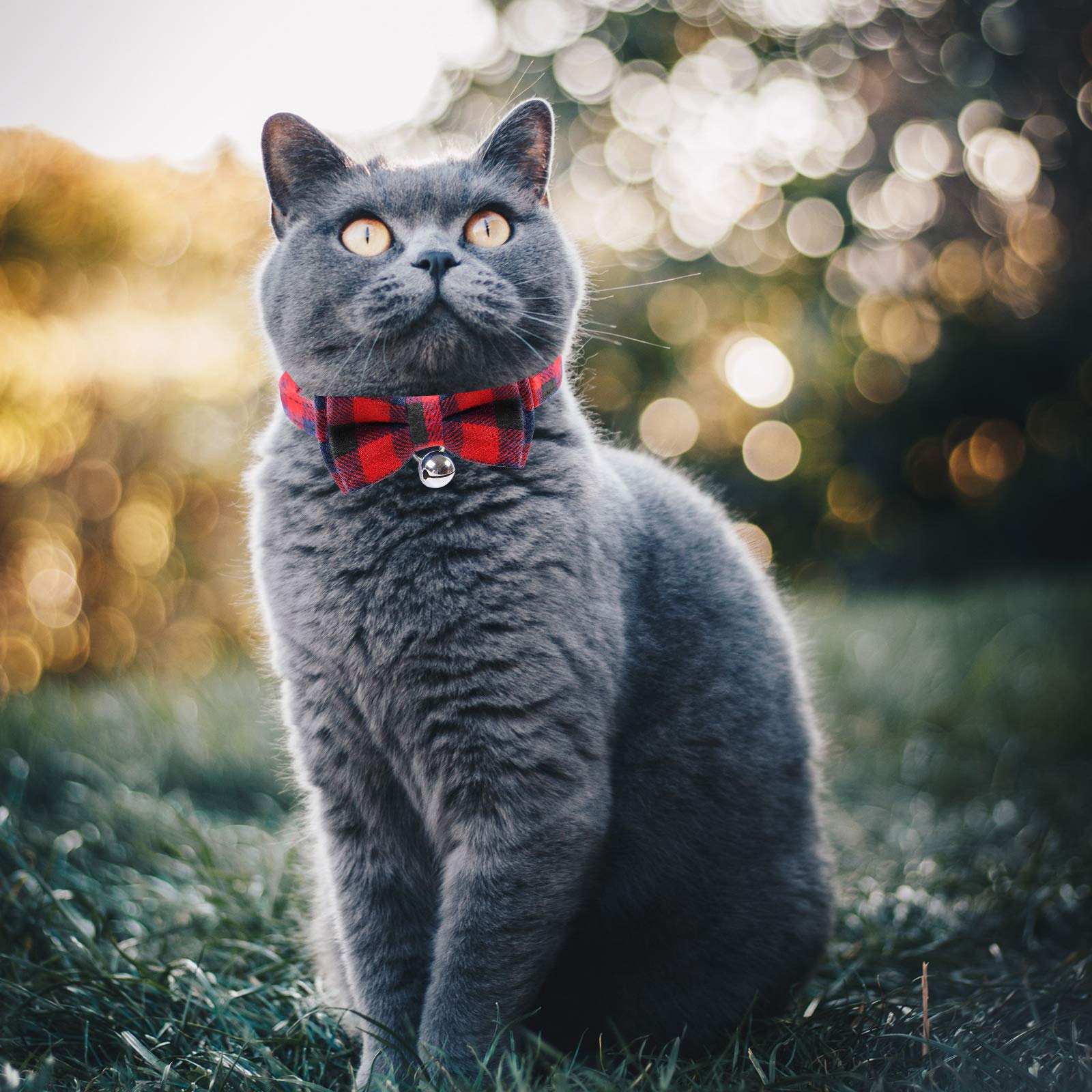 Red Plaid Cat Collars Quick Release Kitten Collar Bow Tie Safety Cat Bowtie Collars Christmas Cat Bow Collar With Bell Soft Tartan Collar Adjustable Pet Collars For Kitten Puppy Small Pets