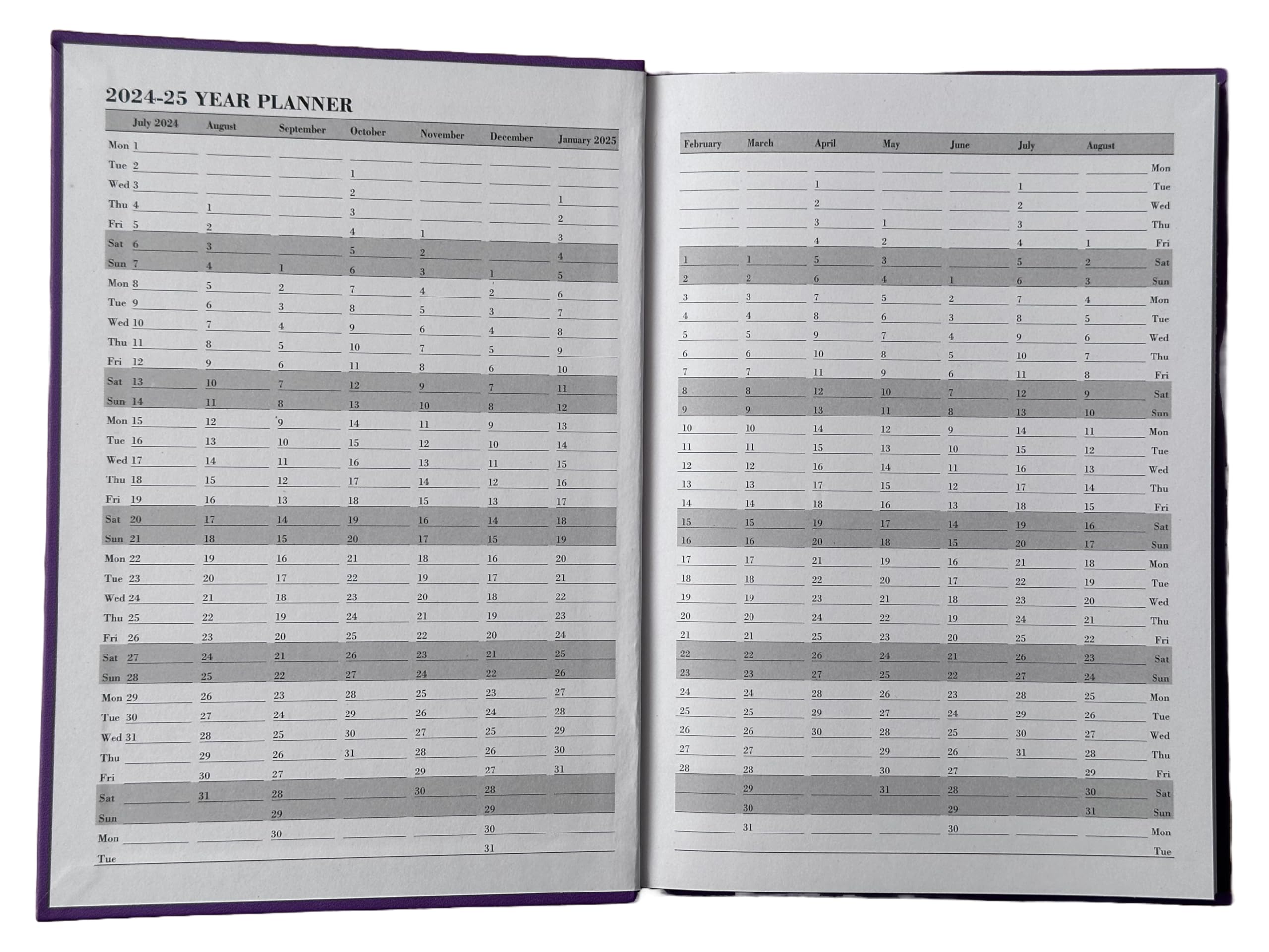 Academic Diary 2024-2025 A5 Day to a Page DAP Appointment Mid Year Planner Case bound Hardback - Pink