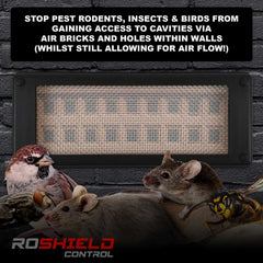 Roshield Pest Proofing Air Brick Mesh Vent Cover   Mouse Insect Rodent Control Prevention x 1 (White, Standard)