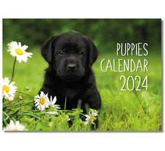 A4 Puppies Calendar 2024. One Month to View. UK, Scotland, RoI & N Ireland Bank Holidays. Wall Calendar by Absolutely Yours.