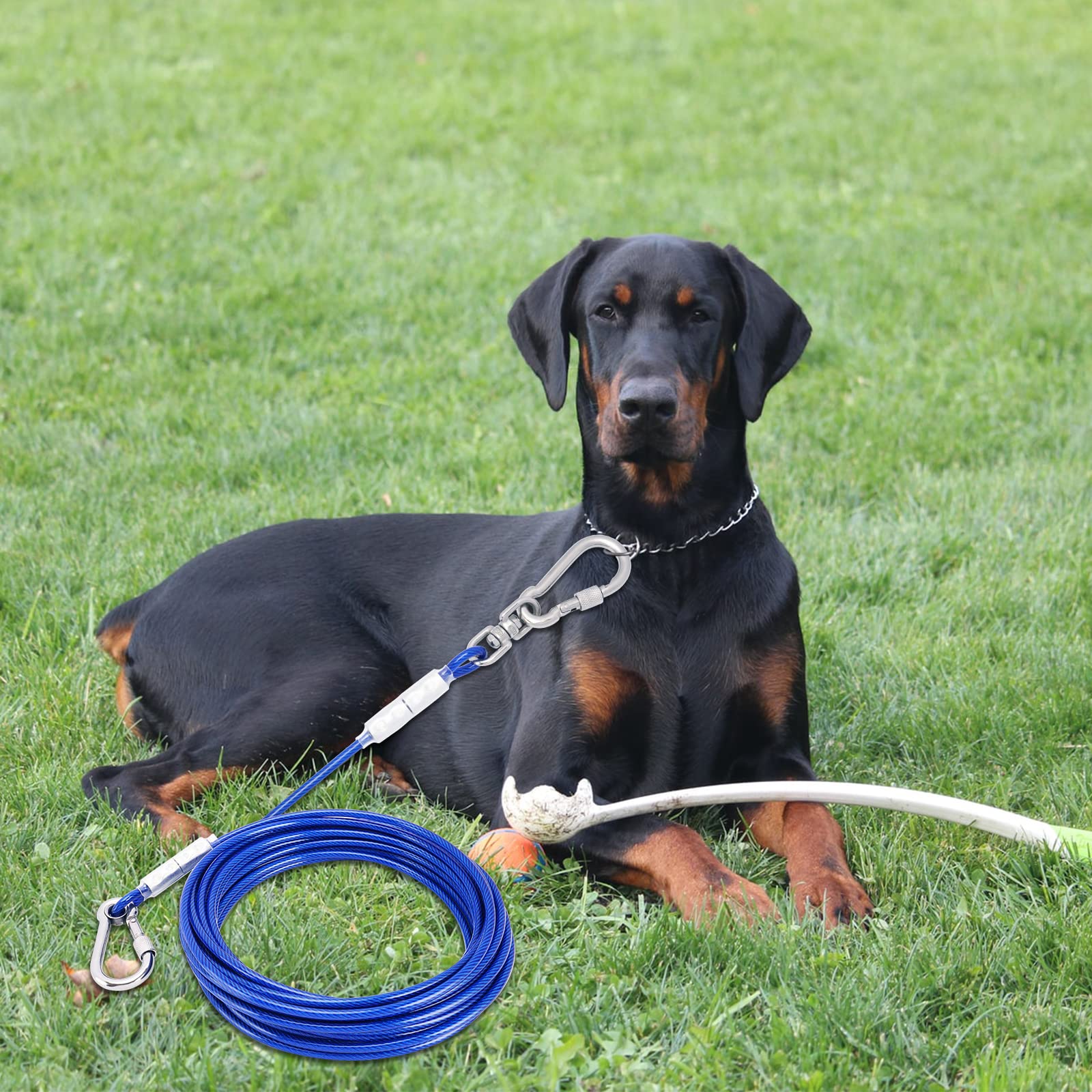 Blue Dog Tie Out Cable Lead With Steel Buckle,3/6/9/15m Dog Runner Cable with Swivel Hook,Dog Leash Run Tether for Yard Outdoor Camping,for Dogs Pets Up to 500 LB（3m）