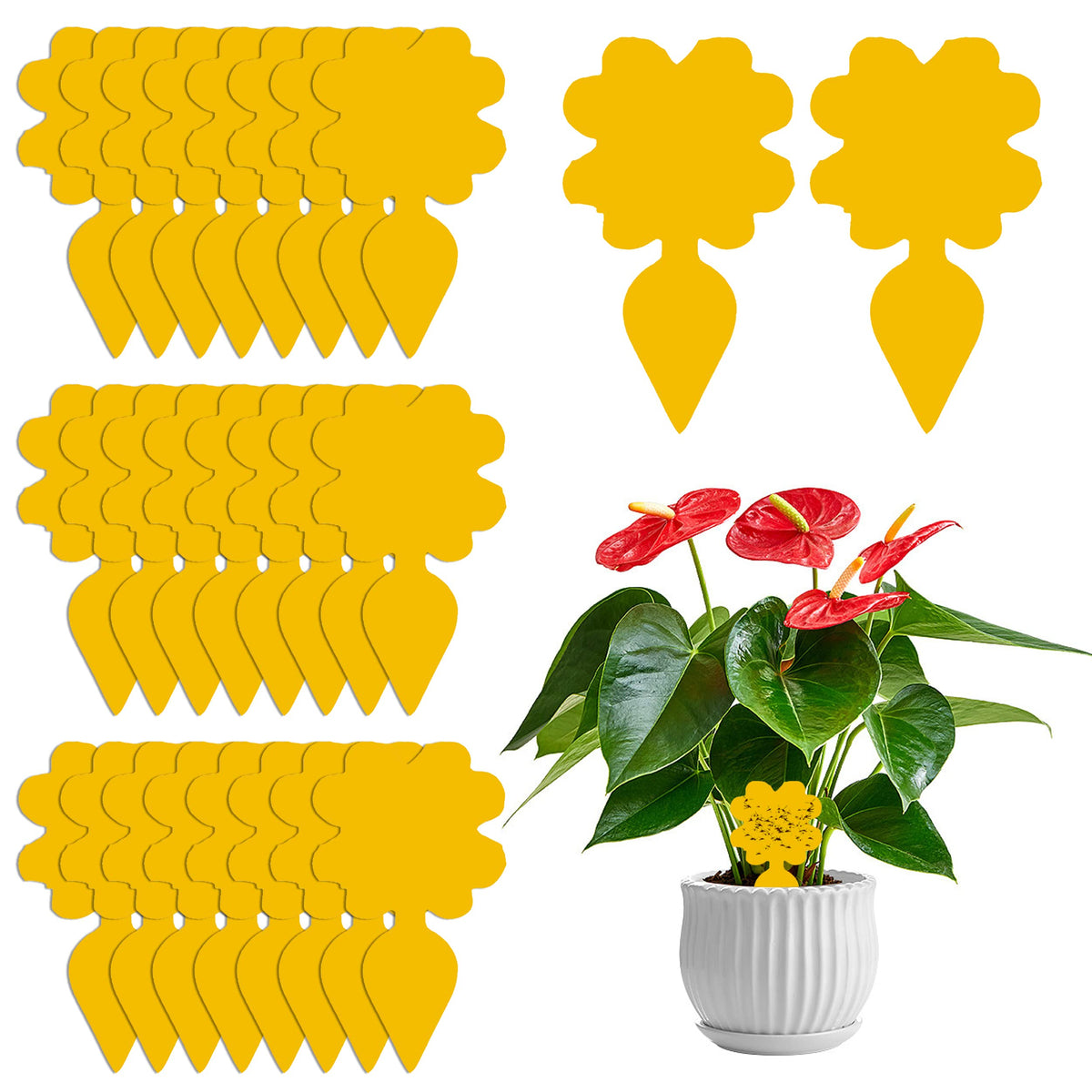 30Pcs Fly Killer Yellow Fruit Fly Trap Paper Sticky Catcher Fungus Gnat Killer for Indoor Plants Protection Plant from the Mosquito Aphids,Ideal for Plants on the Balcony or in the Garden