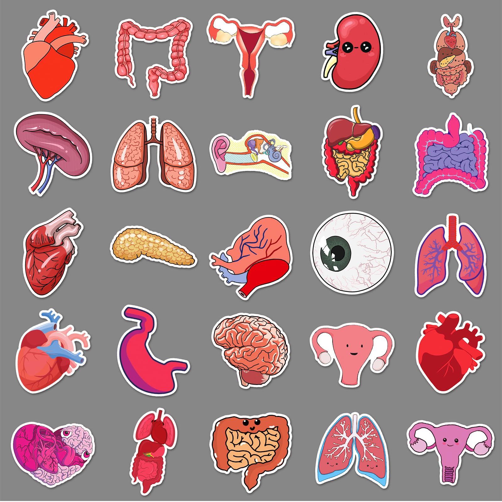 50 Pcs Human Body Organs Stickers Funny Human Biology Sticker for Water Bottle Laptop Skateboard Computer Luggage Scrapbook Car Helmet Bike,Vinyl Waterproof Sticker for Adults Doctors Nurses