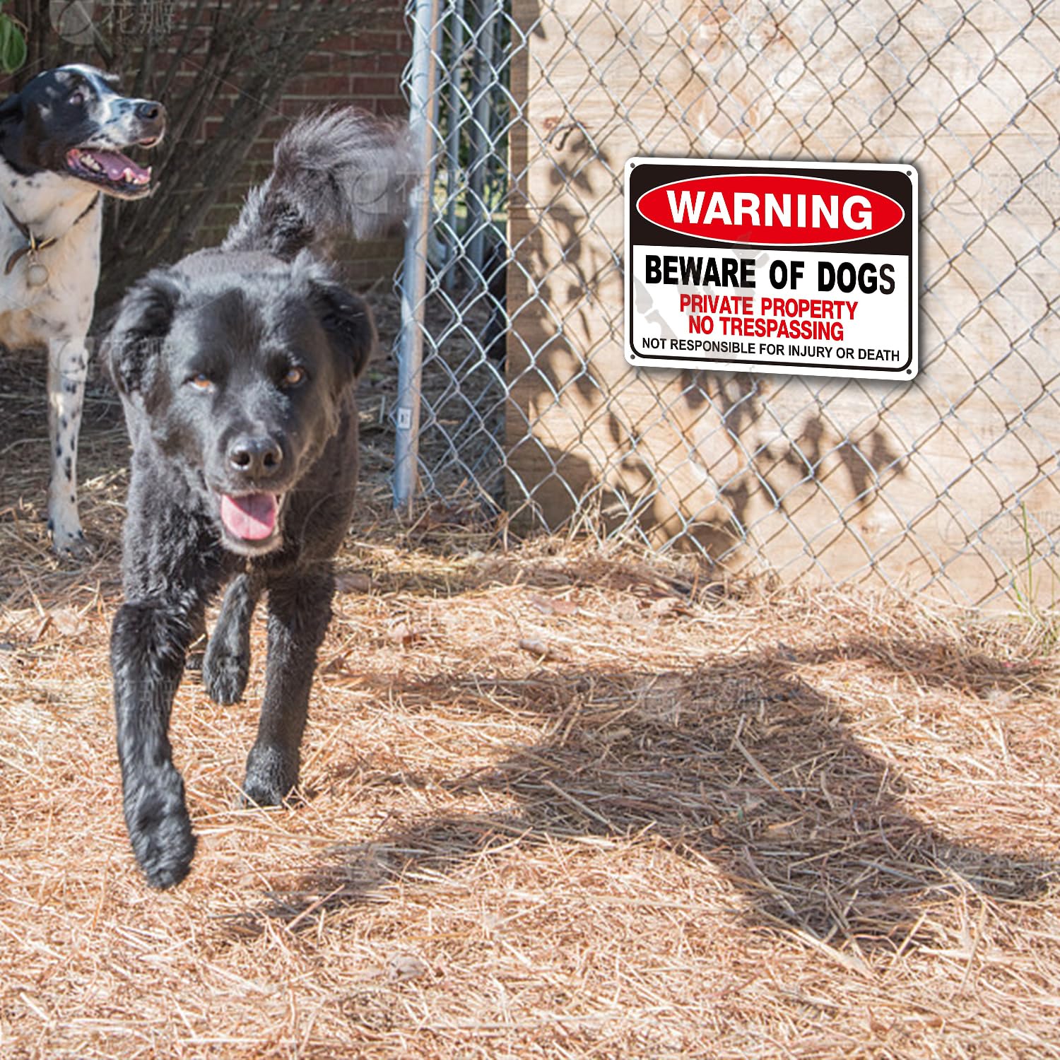 Beware of The Dog Sign-Private Property No Trespassing Signs,Beware of The Dogs Sign Outdoor Gate Weather Easy to Mount 12x8inch(2 Pack)