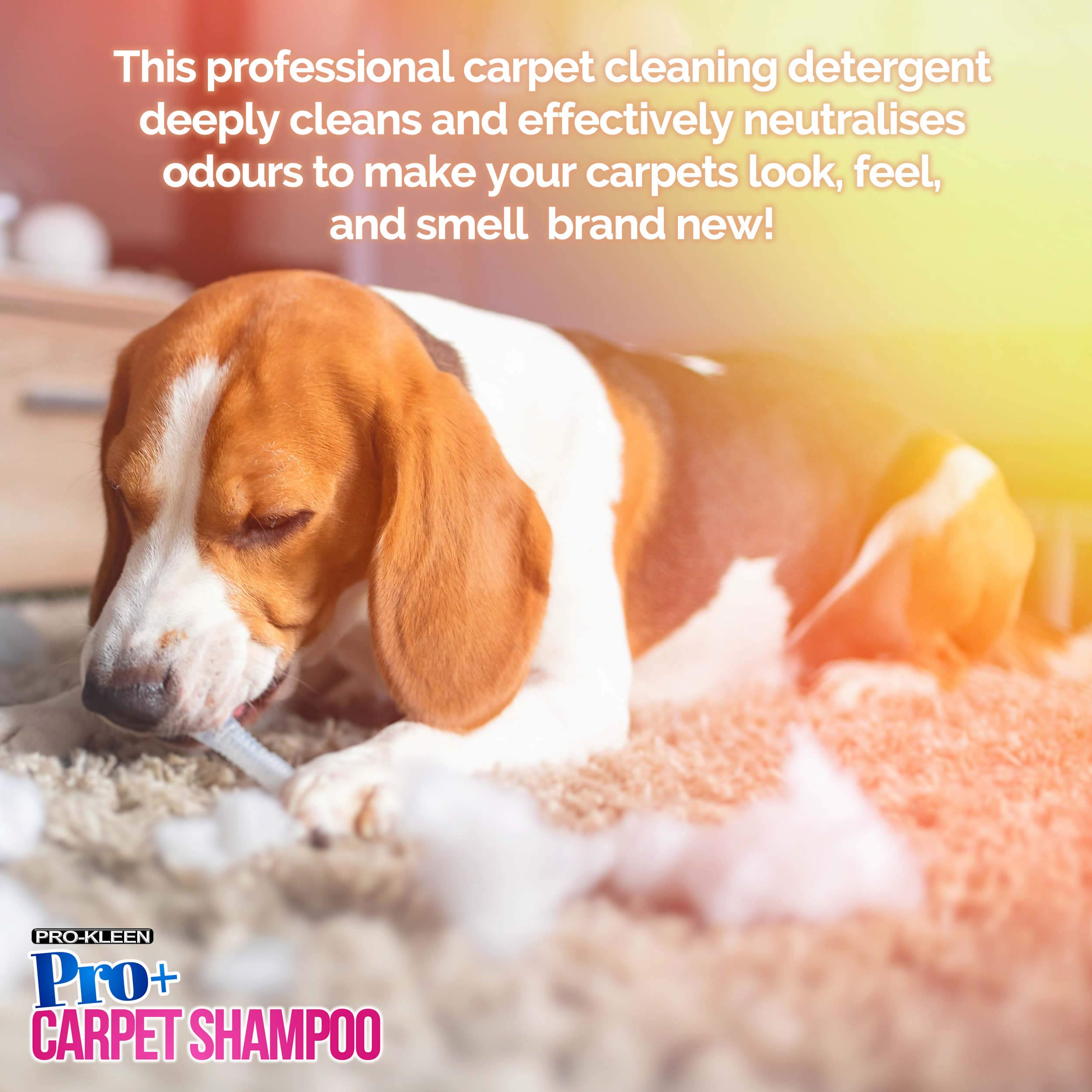 Pro-Kleen Proand Carpet Shampoo and Upholstery Cleaning Solution – 4 in 1 Concentrate – Pet Carpet Cleaner with Odour Removal Suitable for All Machines 5L (Spring Bloom)