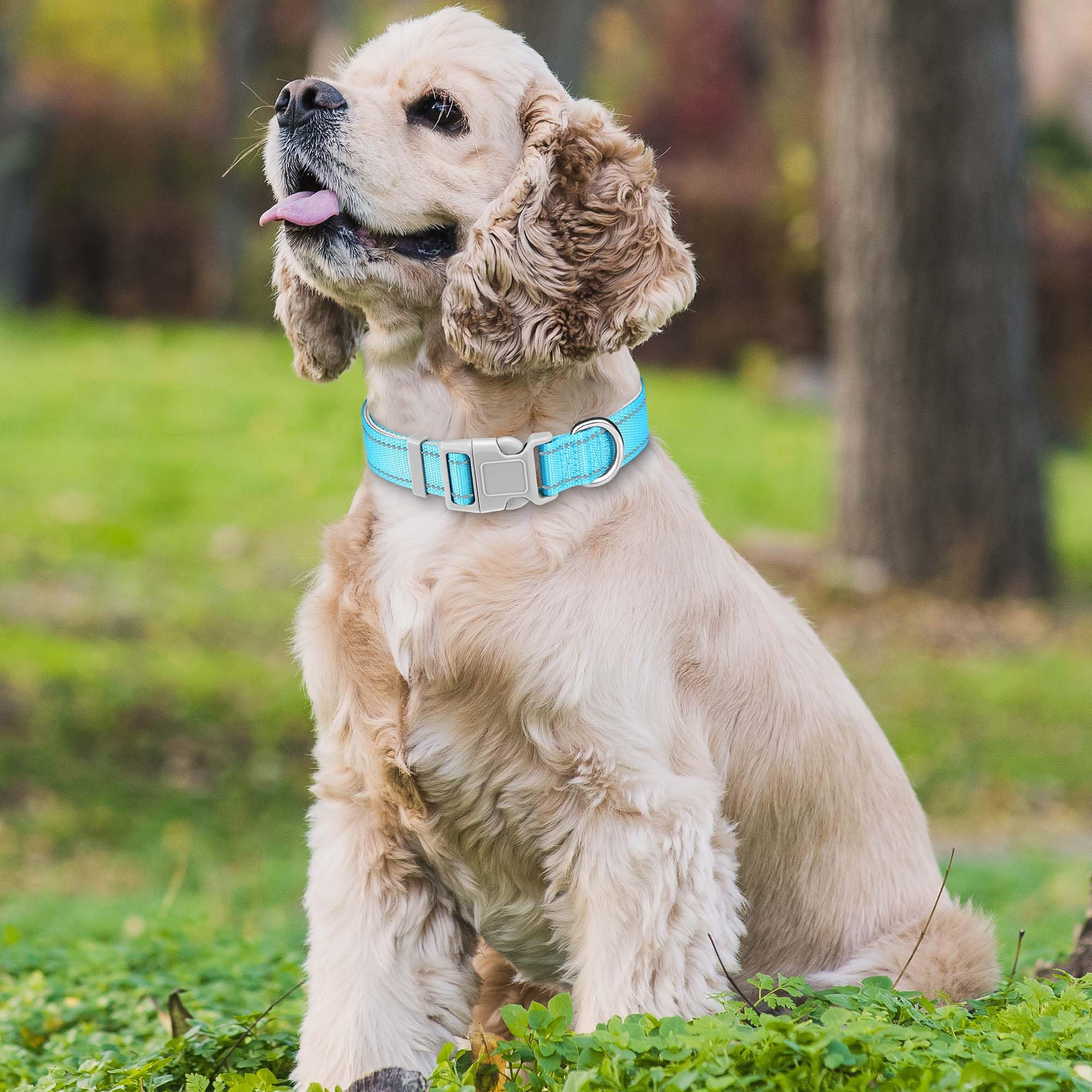 Haapaw Reflective Dog Collar, Soft Neoprene Padded Breathable Nylon Pet Collar Adjustable for Medium Dogs, Turquoise, Medium