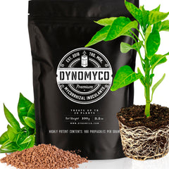 Mycorrhizal Inoculant by DYNOMYCO – High Performing Strains – Concentrated Formula – Improves Nutrient Uptake – Increases Plant Yields Enhances Resilience to Stress Saves Fertilizer (100 g / 3.5 oz)