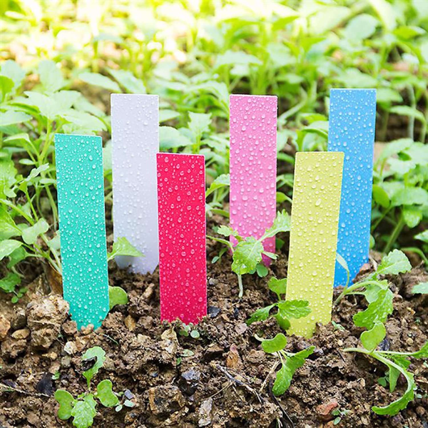 300pcs Plant Labels, 4 Inch Plastic Plant Name Tags with Bonus Permanet Marking Pen for Seedlings Garden Labels Markers Nursery Plant Tags Labels Plant Markers for Outdoor.