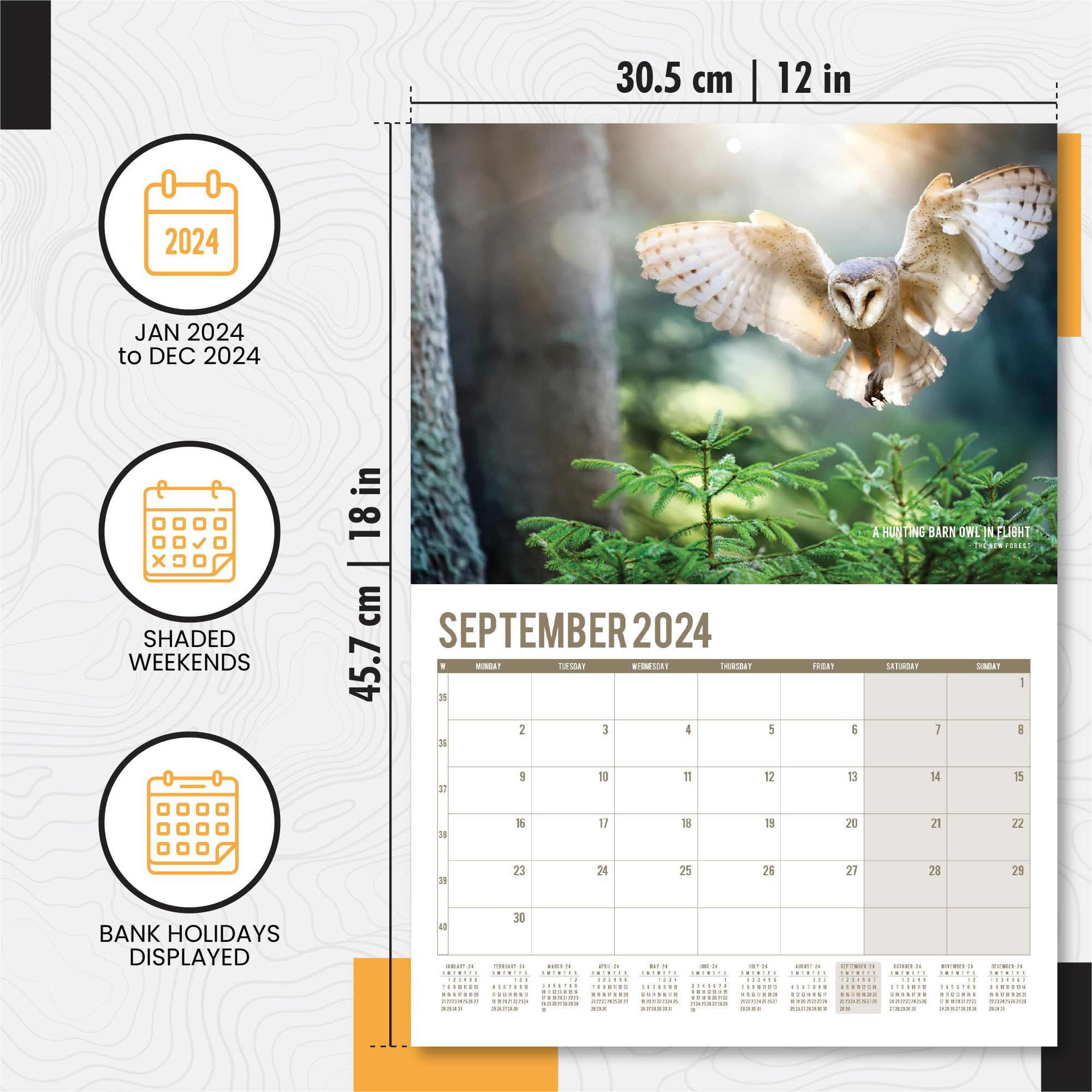 A4 UK Wildlife Calendar 2024 Month to View Features 12 High Resolution Images of UK Wildlife (2024)