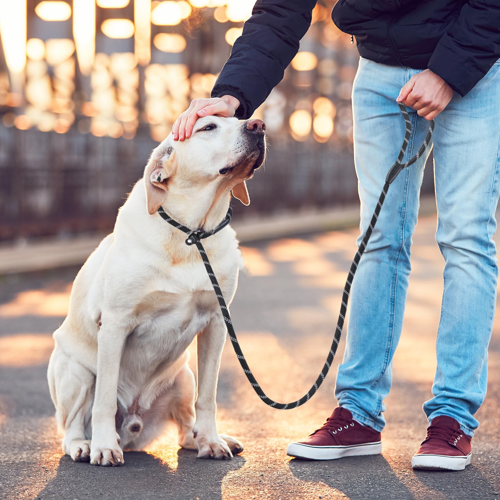 Loutep Slip Lead for Dogs- 1.8m Black Rope Dog Lead With Reflective Stitching Slip on Easily With No Collar or Harness Needed Ideal for Large & Medium Dogs